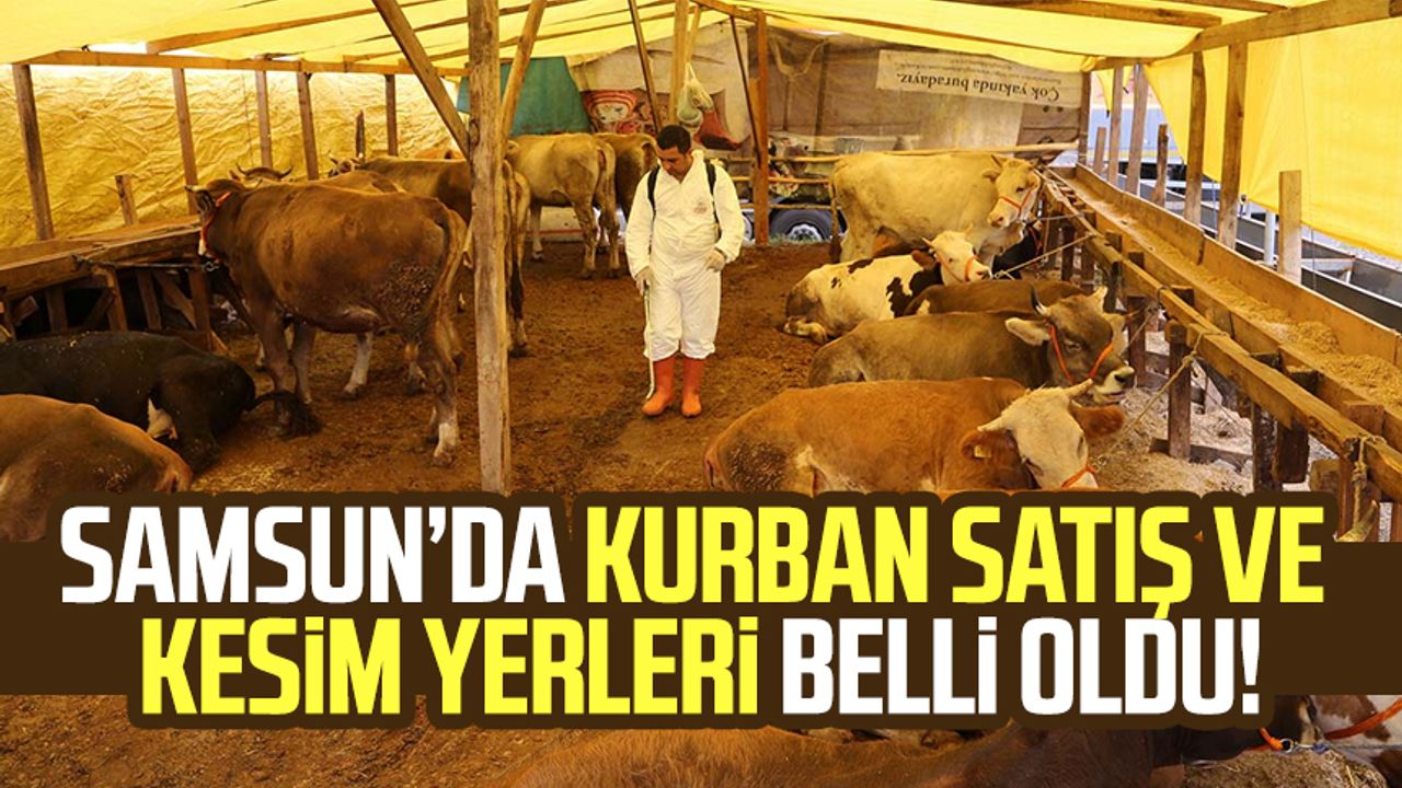 Samsun Kurban Sat Ve Kesim Yerleri Belli Oldu Samsun Kurban