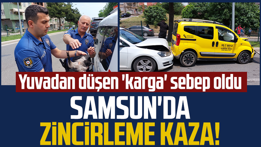 Samsun da zincirleme kaza Yuvadan düşen karga sebep oldu Samsun