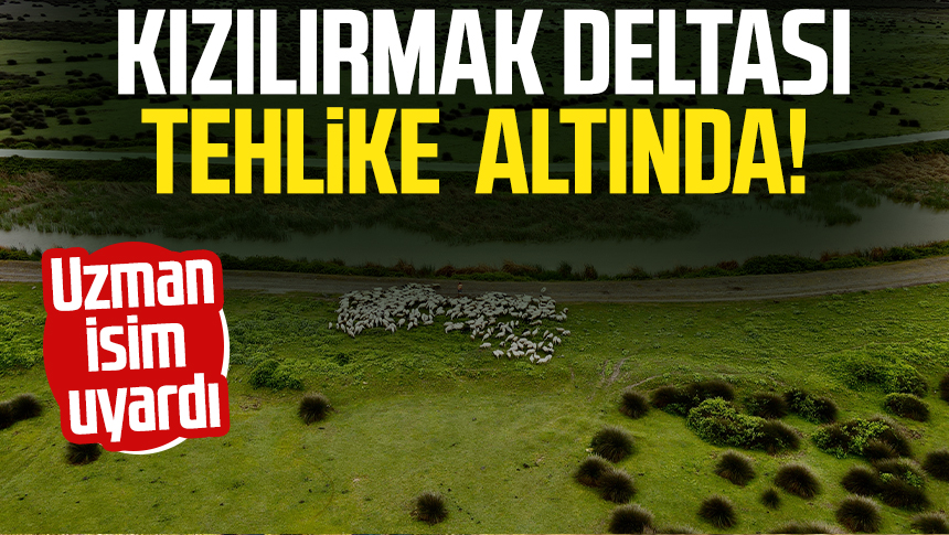 Samsun Kızılırmak Deltası tehlike altında Uzman isim uyardı Samsun