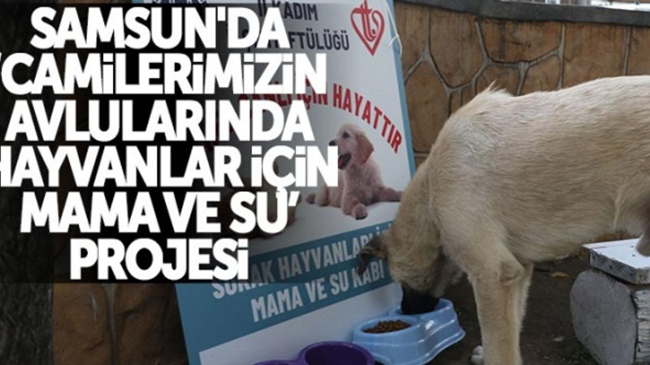 Samsun'da 'Camilerimizin Avlularında Hayvanlar İçin Mama ve Su' projesi