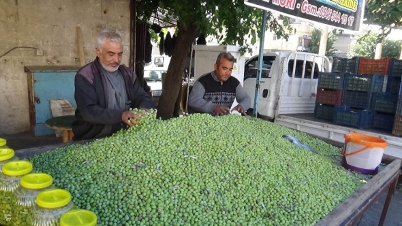Kilis'te yerli sofralık zeytin piyasada