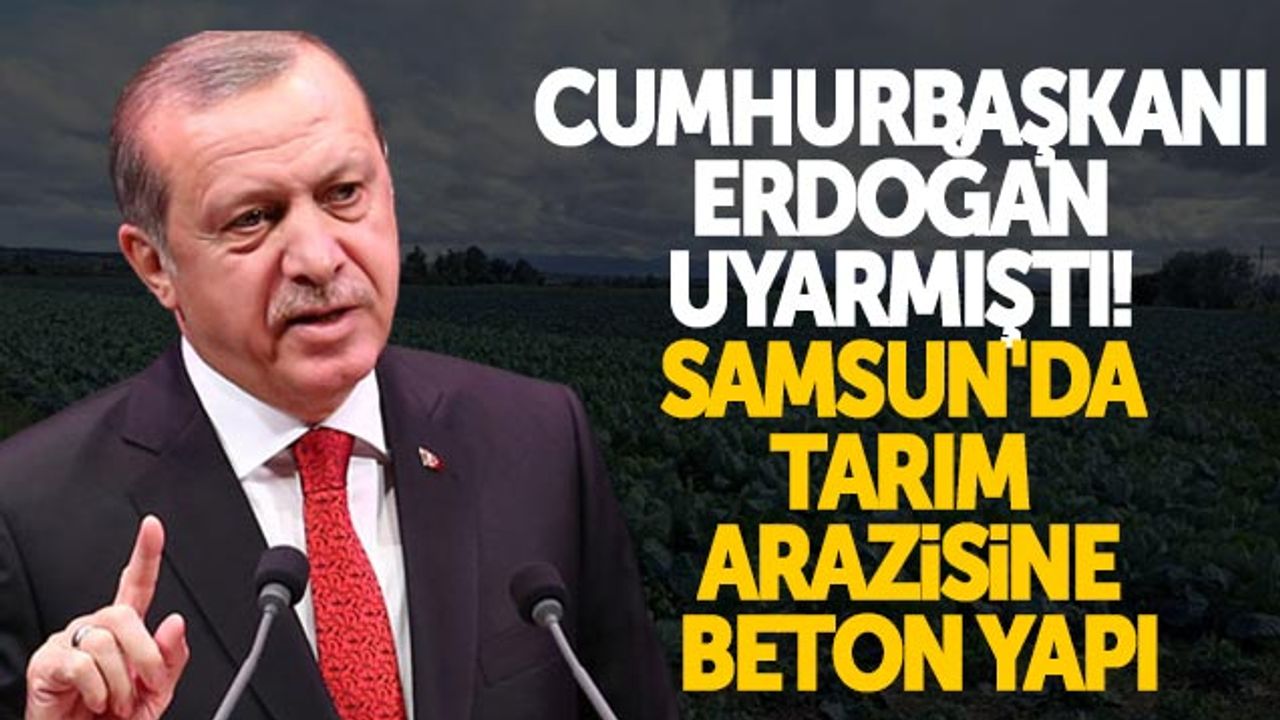 Cumhurbaşkanı Erdoğan Uyarmıştı! Samsun'da Tarım Arazisine Beton Yapı