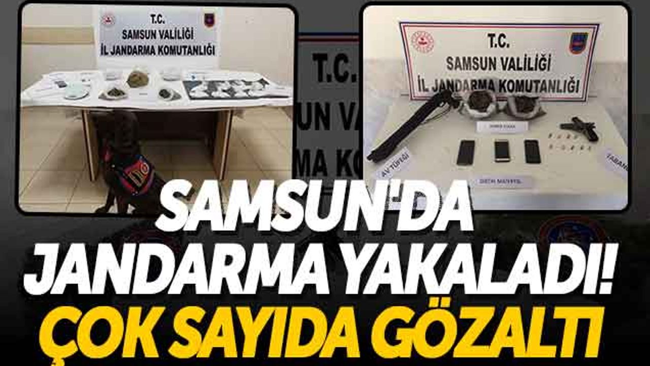 Samsun'da Jandarma Göz Açtırmadı! Çok Sayıda Gözaltı