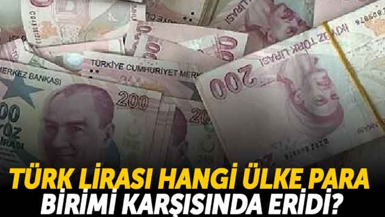 Türk Lirası Hangi Ülke Para Birimi Karşısında Eridi?