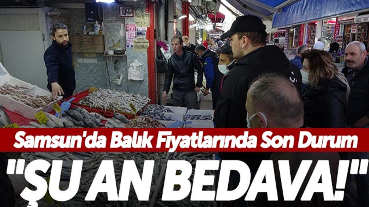 'Şu An Bedava!' Samsun'da Balık Fiyatlarında Son Durum