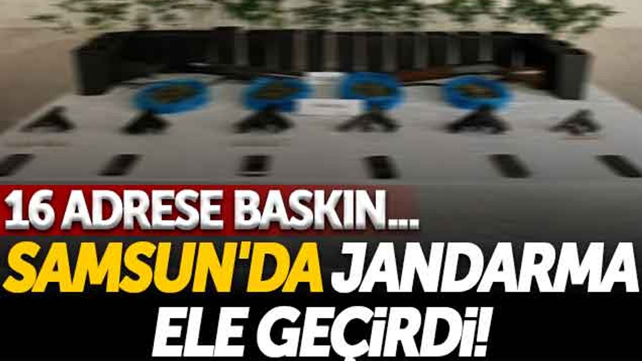 Samsun'da Jandarma Ele Geçirdi! 16 Adrese Baskın