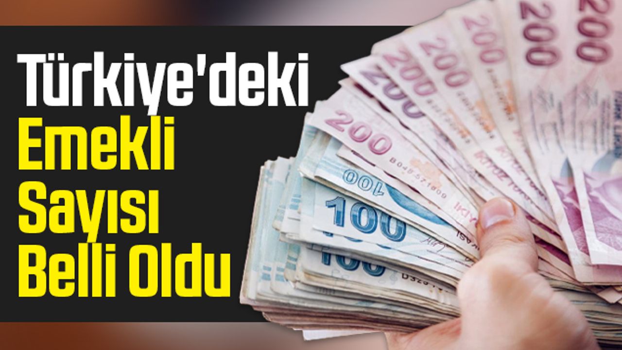 Türkiye'deki Emekli Sayısı Belli Oldu
