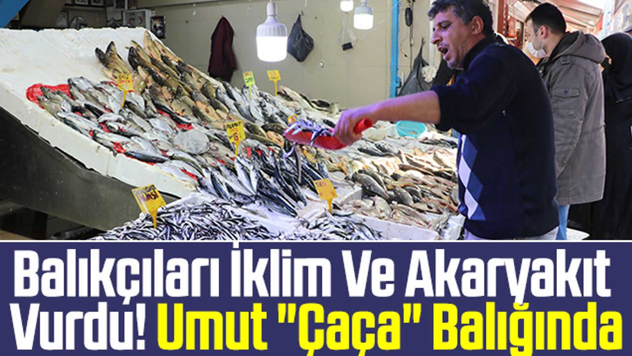 Samsun'da Balıkçıları İklim Ve Akaryakıt Vurdu! Umut 'Çaça' Balığında