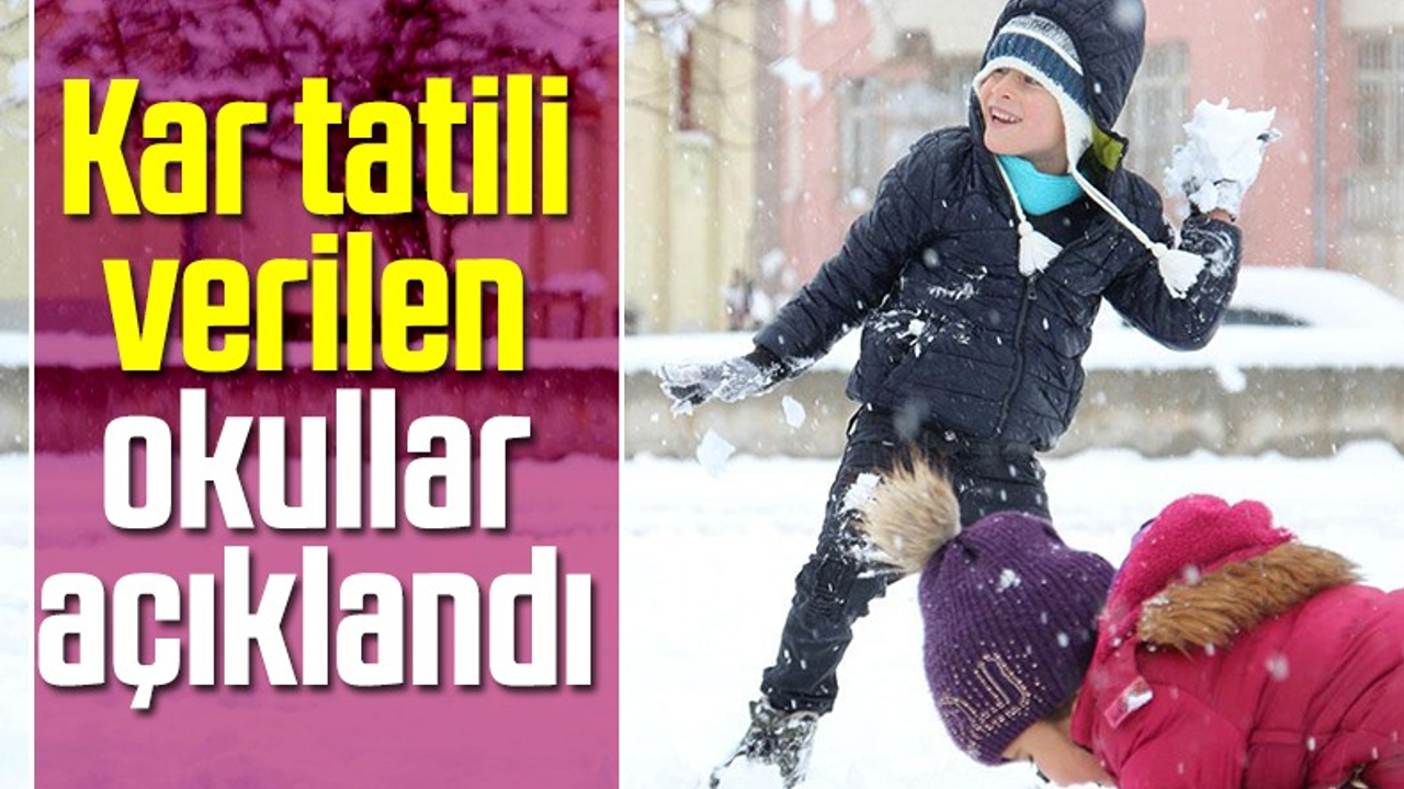 Samsun'da 23 Mart Çarşamba Hangi İlçelerde Okullarda Kar Tatili Var? Milli Eğitim Açıkladı