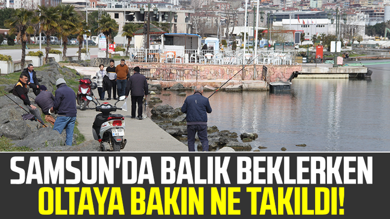 Samsun'da Balık Beklerken Oltaya Bakın Ne Takıldı!