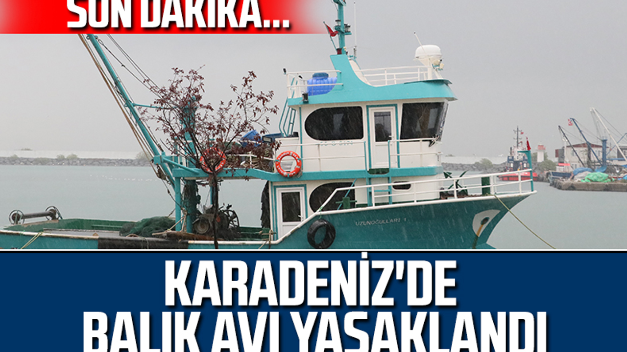 Son Dakika! Karadeniz'de Balık Avı Yasaklandı