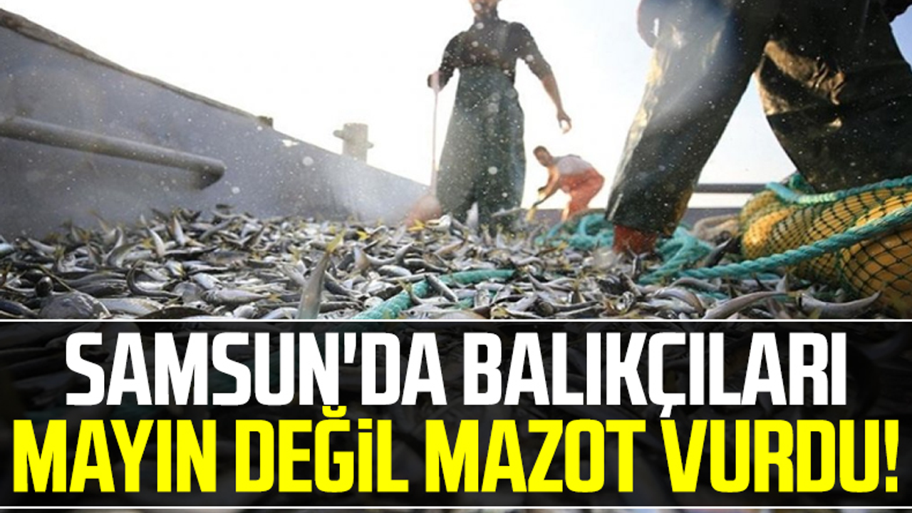 Samsun'da Balıkçıları Mayın Değil Mazot Vurdu!