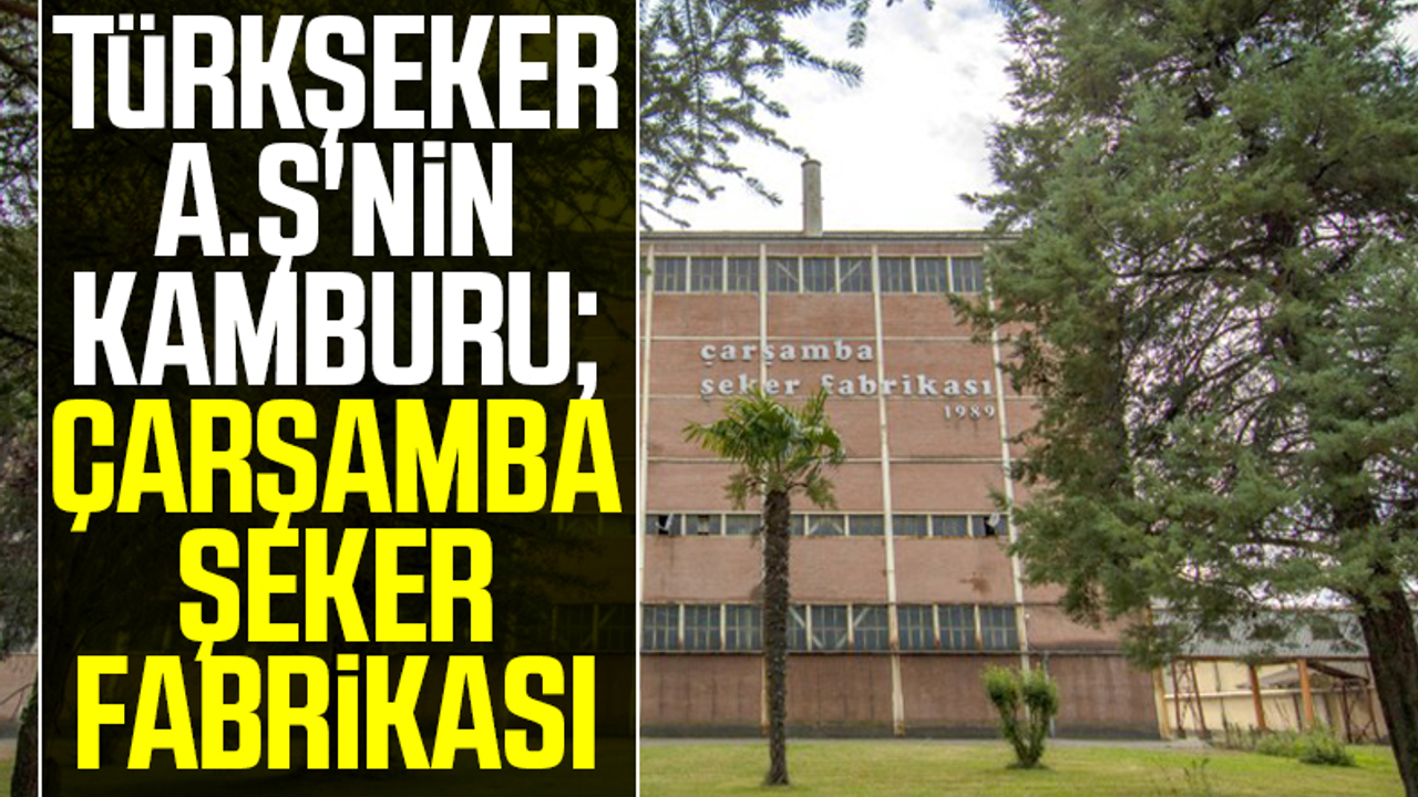 Türkşeker A.Ş'nin Kamburu; Çarşamba Şeker Fabrikası