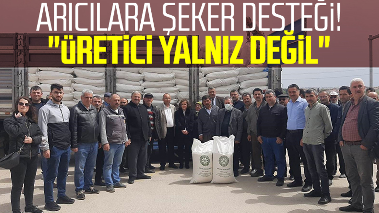 Samsun'da Arıcılara Şeker Desteği! 'Üretici Yalnız Değil'