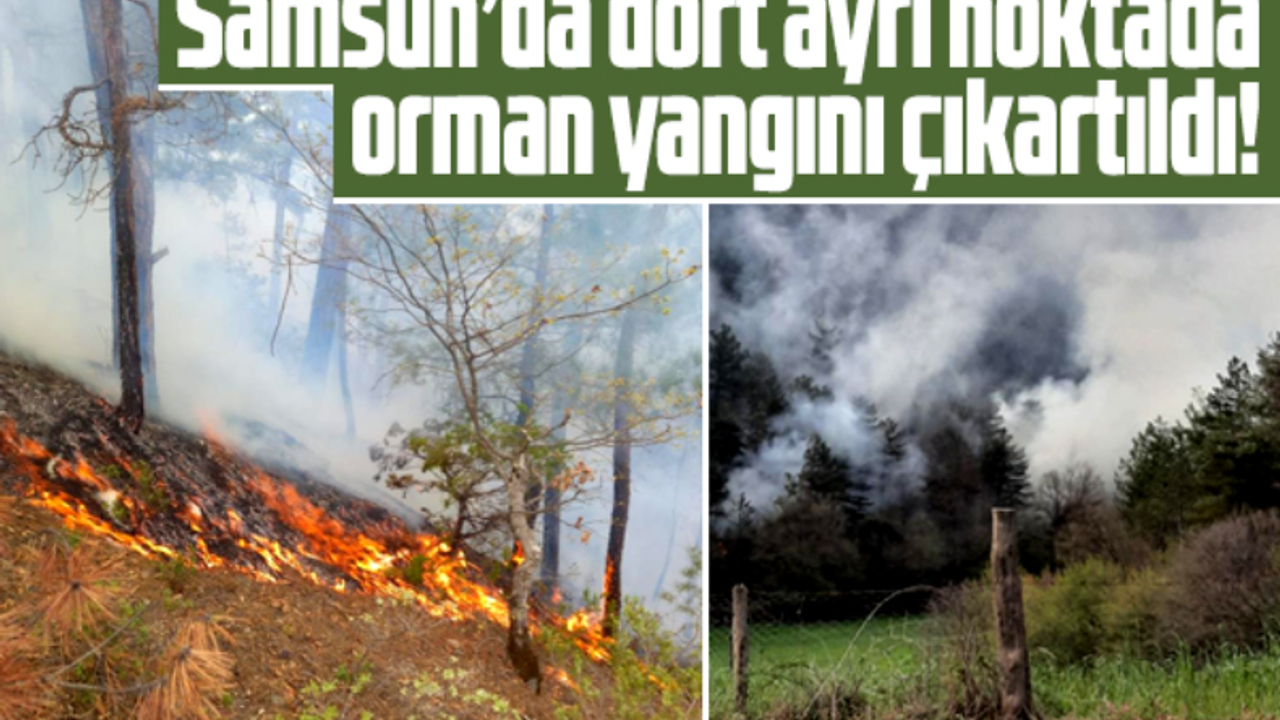 Samsun'un Vezirköprü ilçesinde dört ayrı noktada orman yangını çıktı!