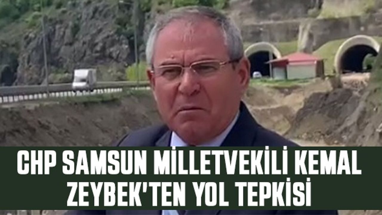 CHP Samsun Milletvekili Kemal Zeybek'ten Yol Tepkisi