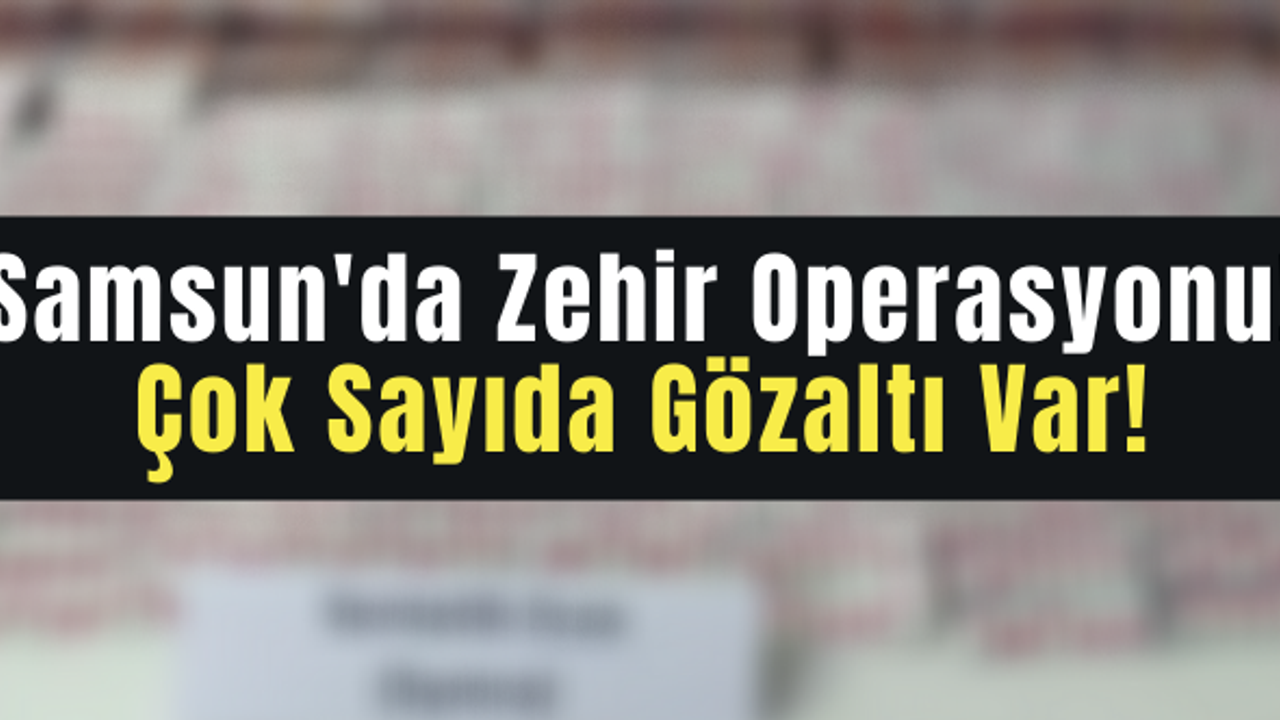 Samsun'da Zehir Operasyonu! Çok Sayıda Gözaltı Var!
