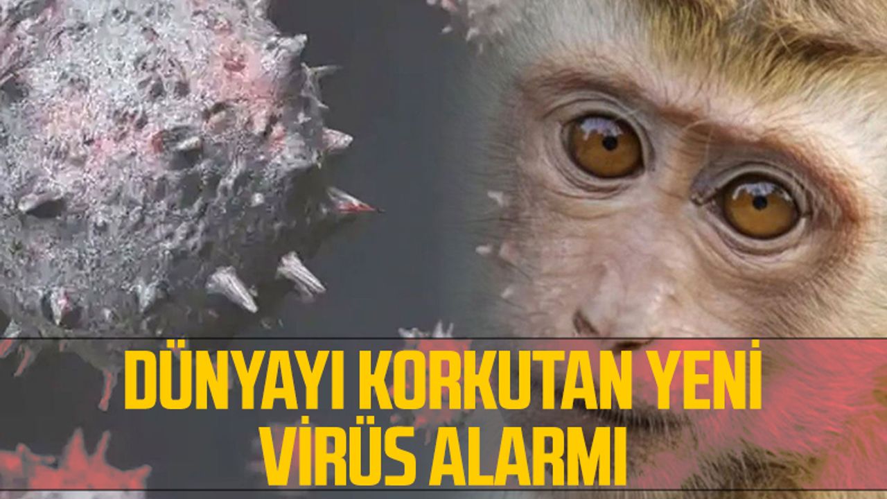 Dünyayı Korkutan Yeni Virüs Alarmı