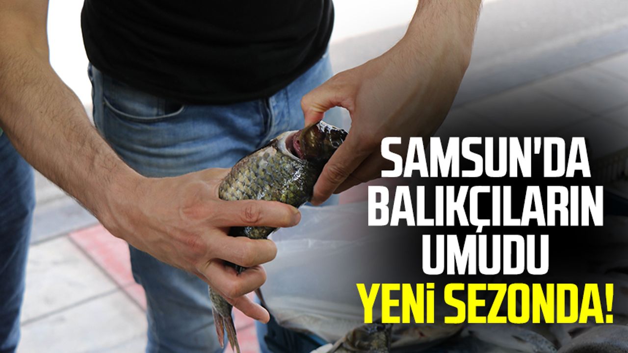 Samsun'da balıkçıların umudu yeni sezonda!