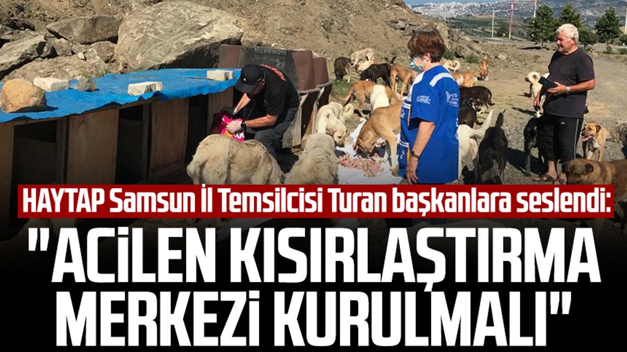HAYTAP Samsun İl Temsilcisi Gül Turan başkanlara seslendi: "Acilen kısırlaştırma merkezi kurulmalı"