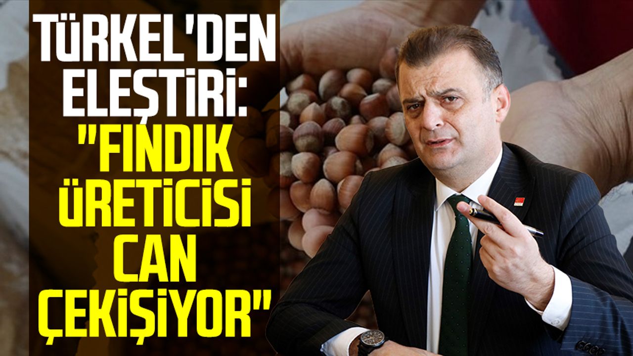 CHP Samsun İl Başkanı Fatih Türkel'den eleştiri: "Fındık üreticisi can çekişiyor"