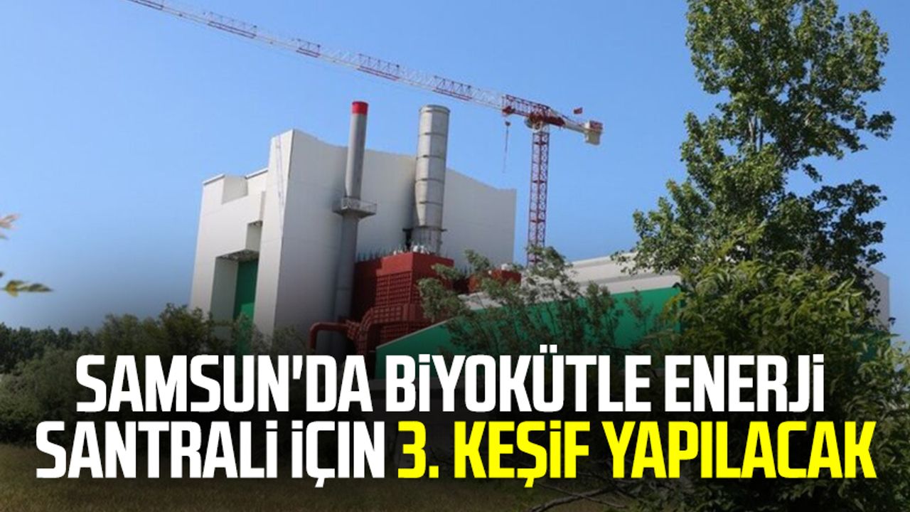 Samsun'da biyokütle enerji santrali için 3. keşif yapılacak