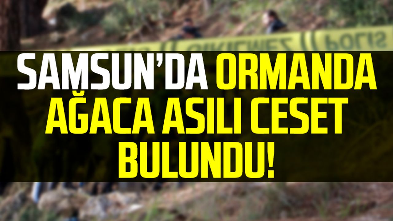 Samsun'da şüpheli ölüm! Cesedi ağaca asılı halde bulundu
