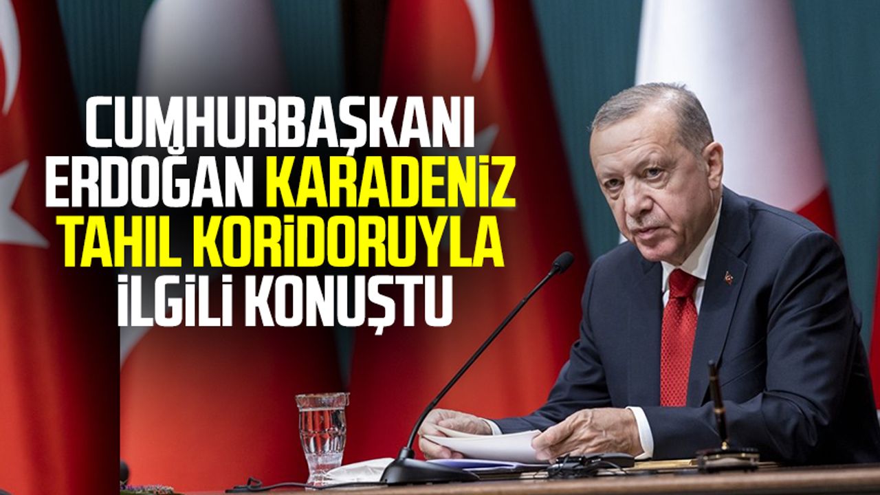 Cumhurbaşkanı Erdoğan, Karadeniz tahıl koridoruyla ilgili konuştu