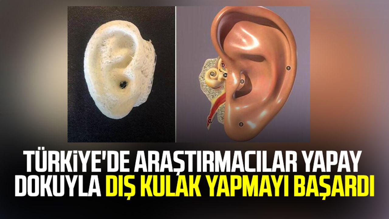 Türkiye'de araştırmacılar yapay dokuyla dış kulak yapmayı başardı