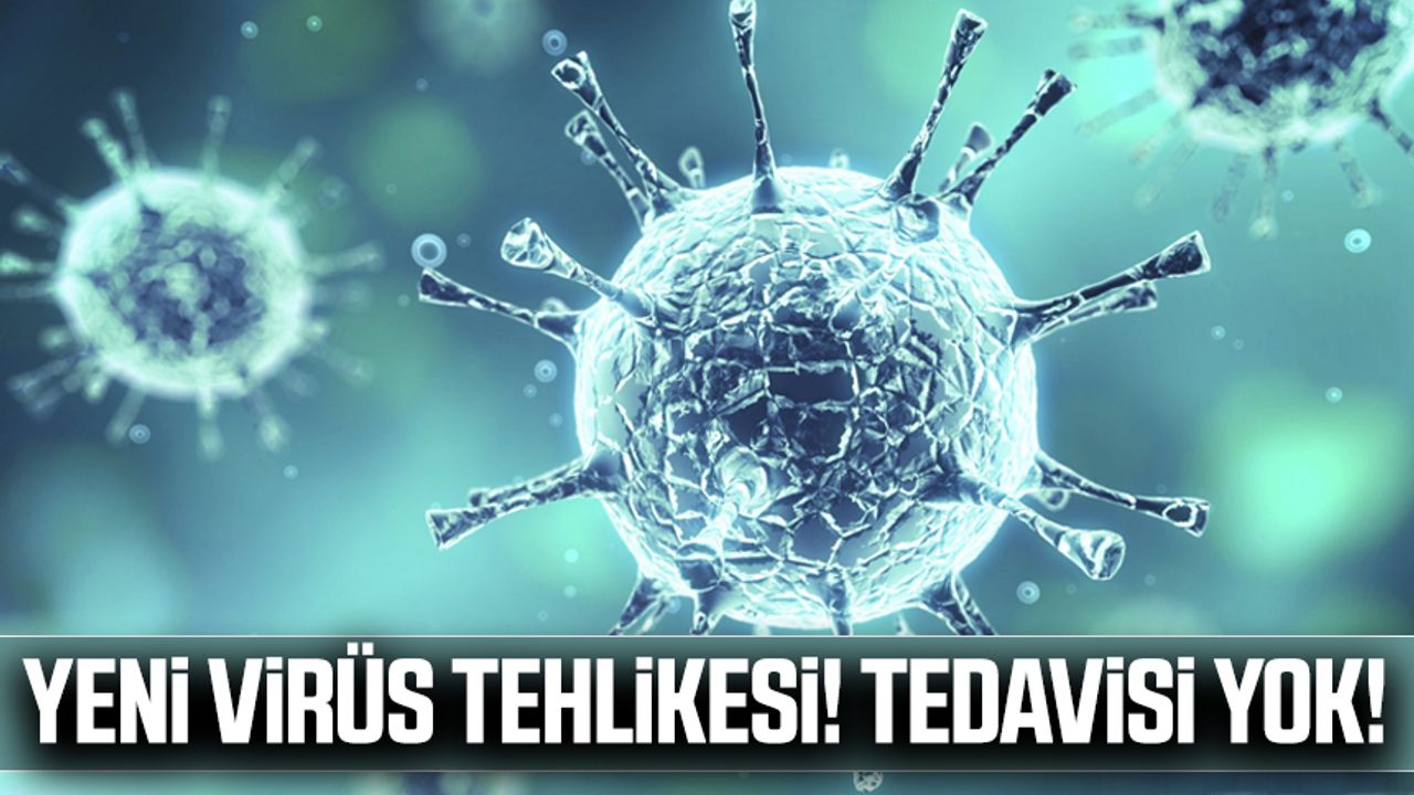 Yeni virüs tehlikesi! Tedavisi yok