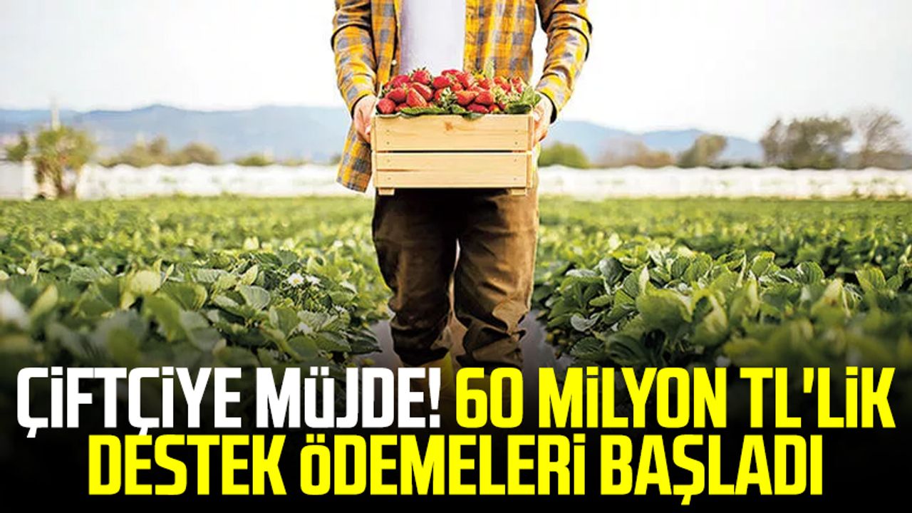 Çiftçiye müjde! 60 milyon TL'lik destek ödemeleri başladı