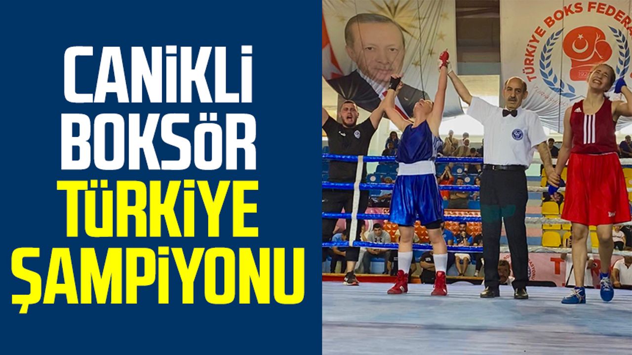 Canikli Boksör Türkiye Şampiyonu