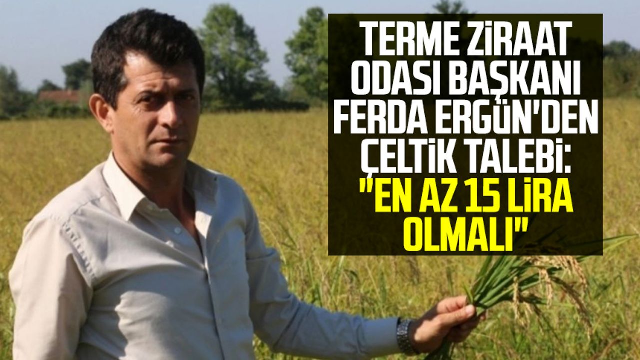Samsun'da Terme Ziraat Odası Başkanı Ferda Ergün'den çeltik talebi: "En az 15 lira olmalı"