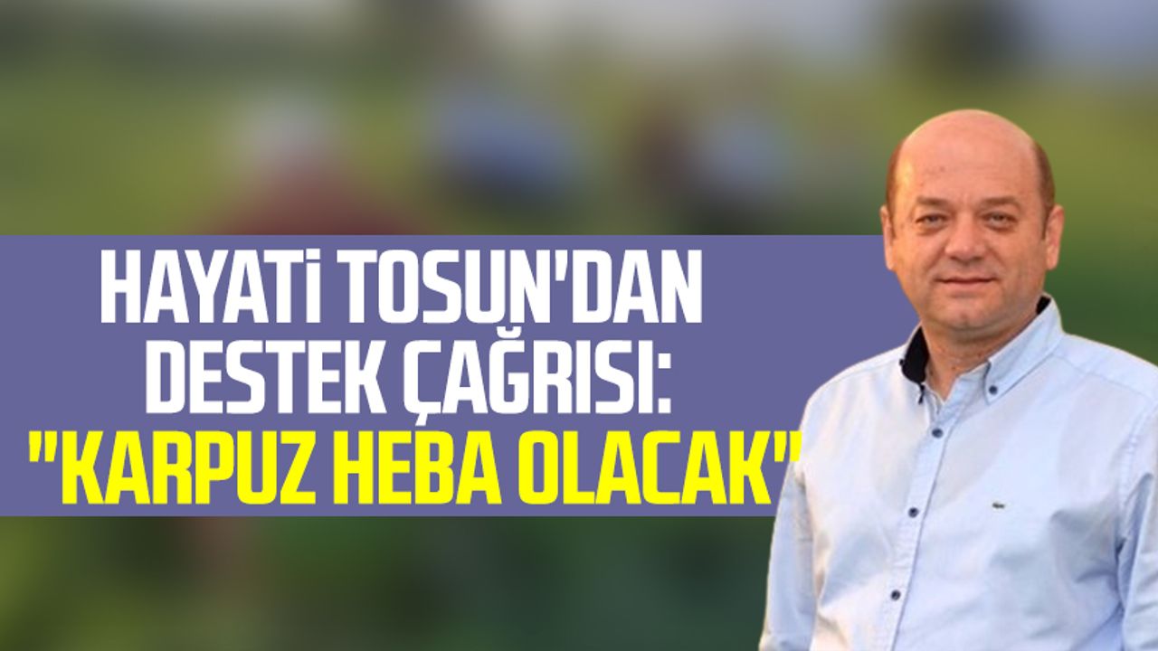 Eski Samsun Ziraat Odası Başkanı Hayati Tosun'dan destek çağrısı: "Karpuz heba olacak"