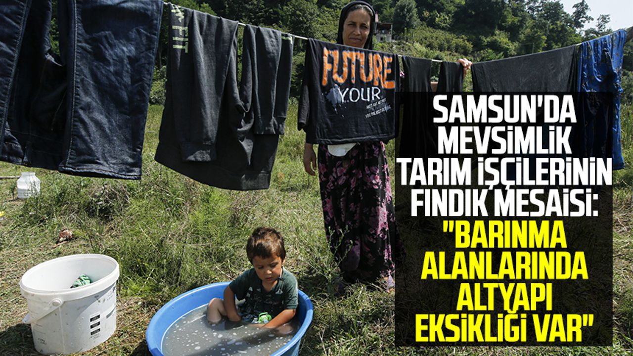 Samsun'da mevsimlik tarım işçilerinin fındık mesaisi: "Barınma alanlarında altyapı eksikliği var"