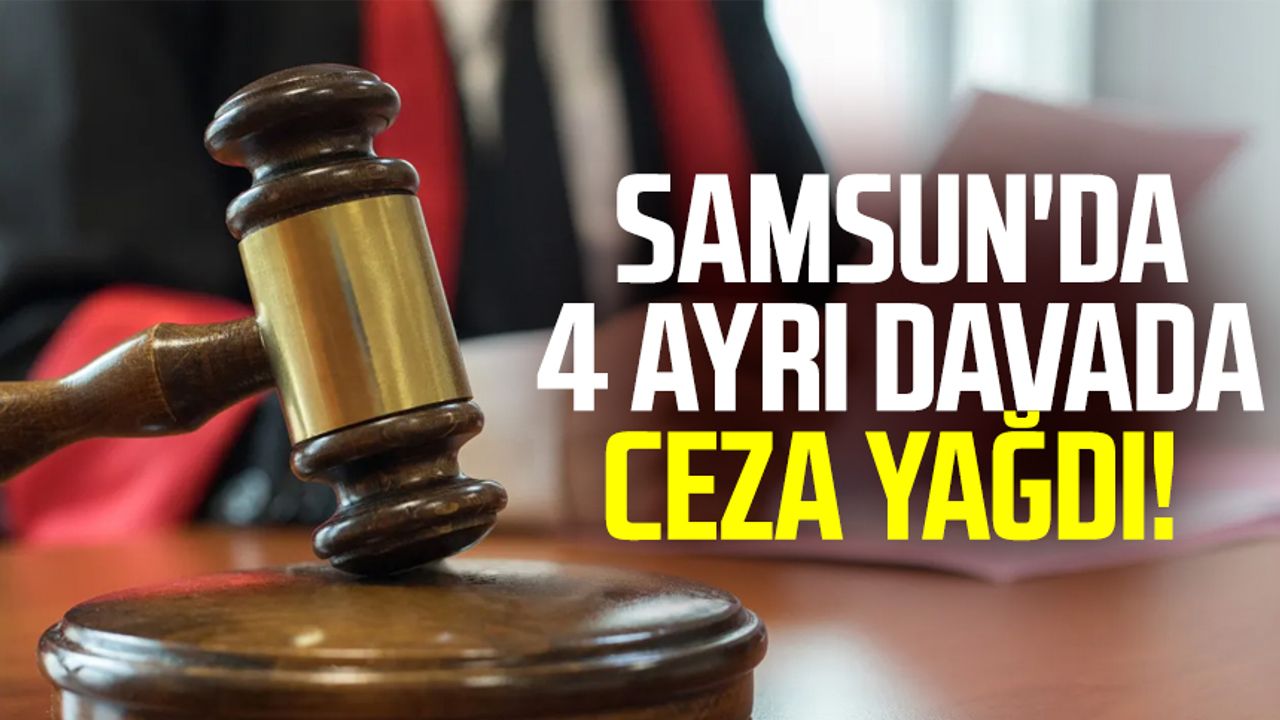 Samsun'da 4 ayrı davada ceza yağdı!