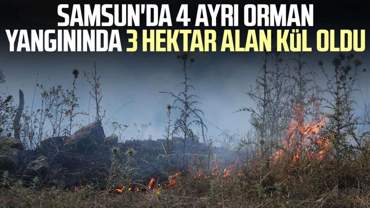 Samsun'da 4 ayrı orman yangınında 3 hektar alan kül oldu