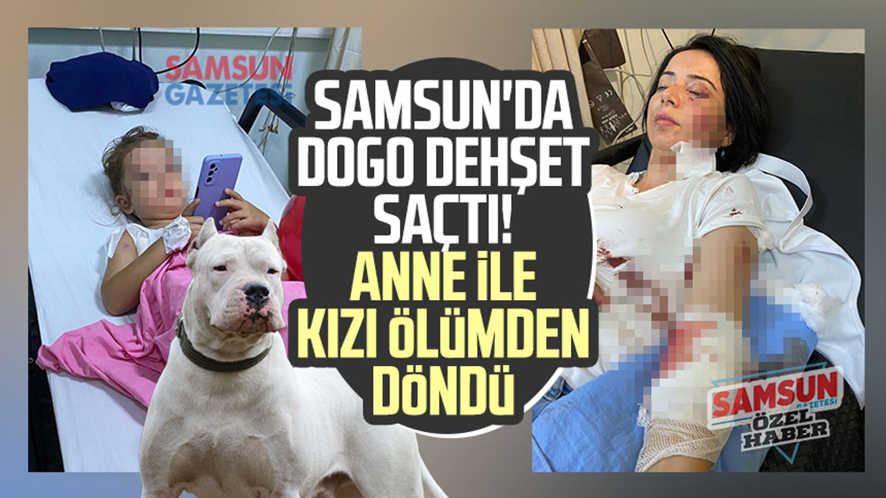 Samsun'da Dogo dehşet saçtı! Anne ile kızı ölümden döndü