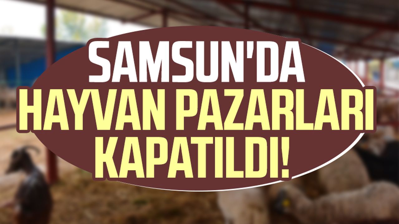Samsun'da canlı hayvan pazarları kapatıldı!