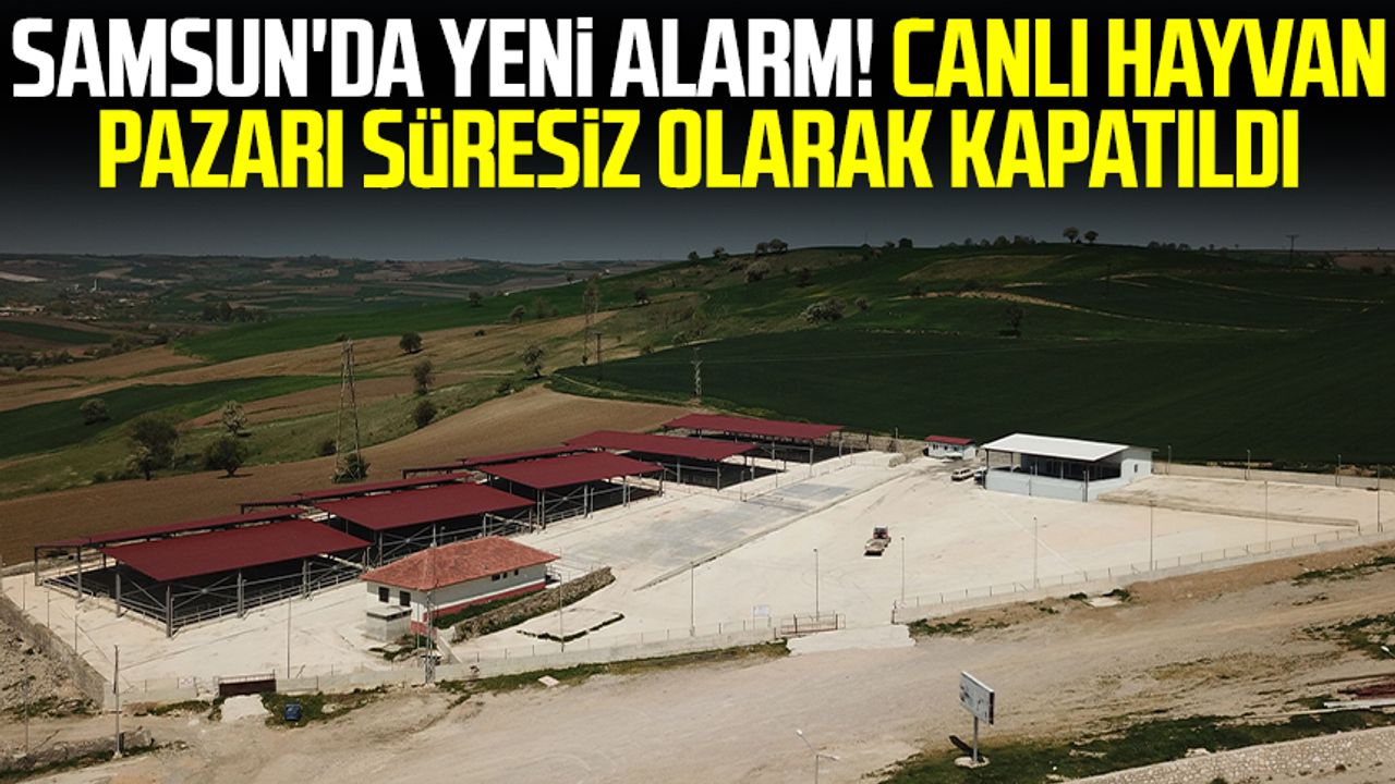 Samsun'da yeni alarm! Canlı hayvan pazarı süresiz olarak kapatıldı