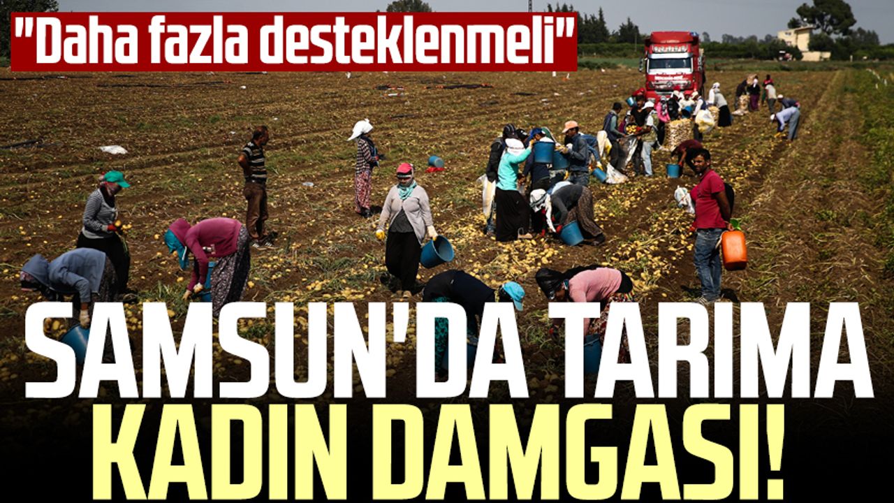 Samsun'da tarıma kadın damgası! "Daha fazla desteklenmeli"