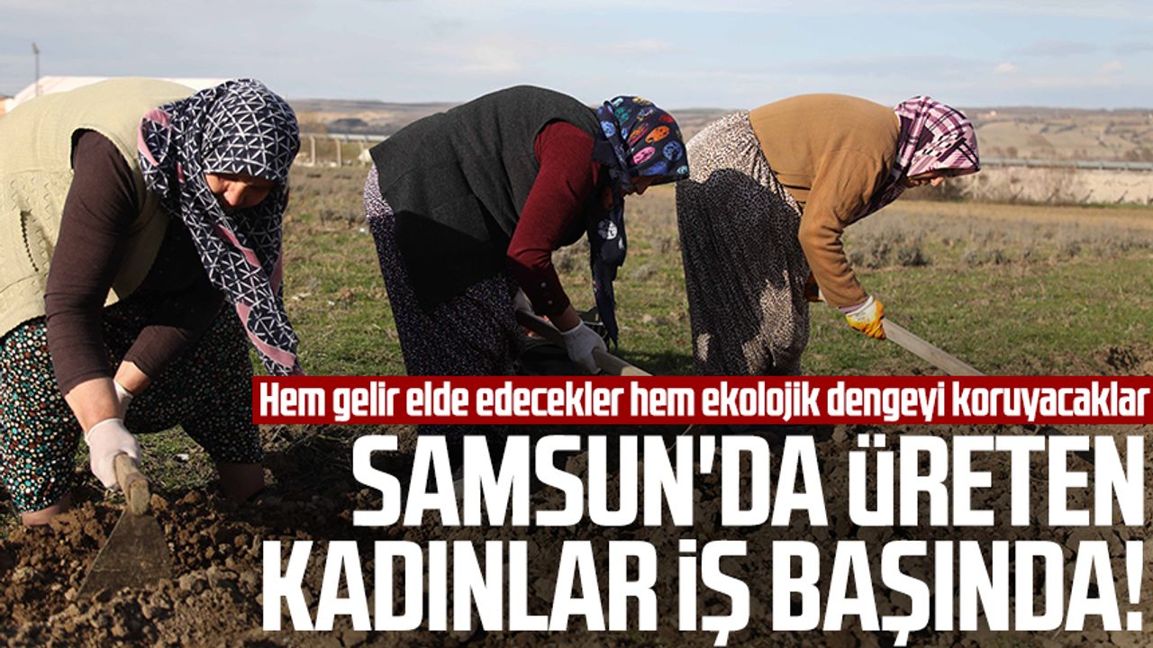 Samsun'da üreten kadınlar iş başında! Hem gelir elde edecekler hem ekolojik dengeyi koruyacaklar