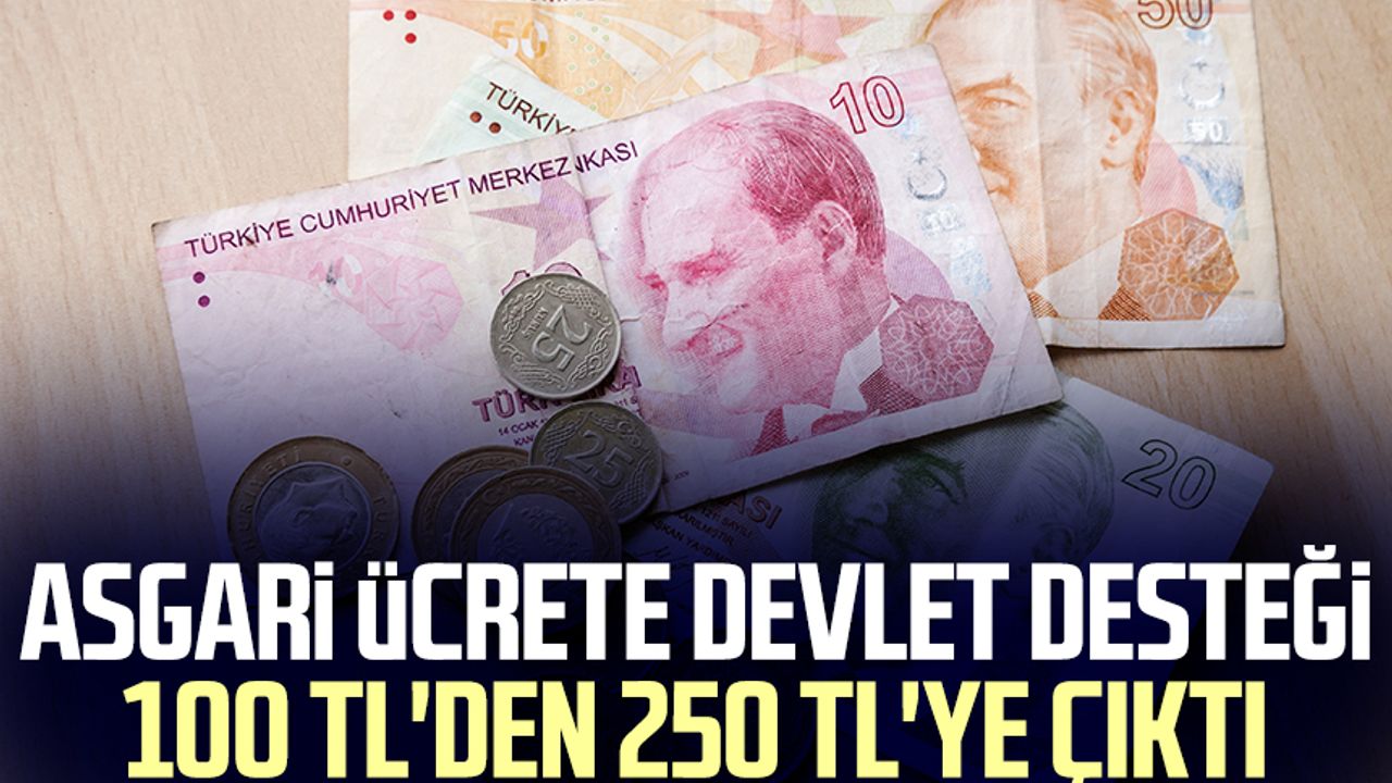 Asgari ücrete devlet desteği 100 TL'den 250 TL'ye çıktı
