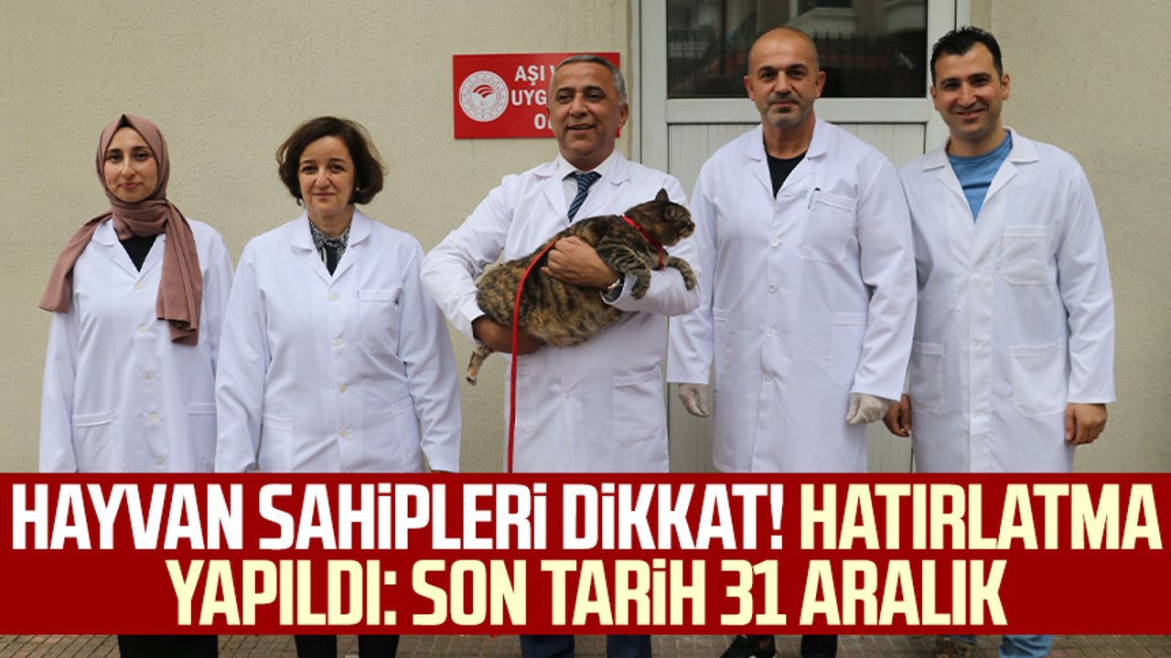 Hayvan sahipleri dikkat! Samsun'da hatırlatma yapıldı: Son tarih 31 Aralık