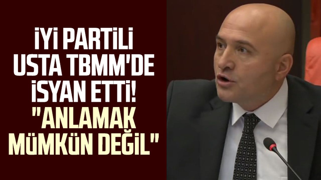 İYİ Parti Grup Başkanvekili ve Samsun Milletvekili Erhan Usta TBMM'de isyan etti! "Anlamak mümkün değil"