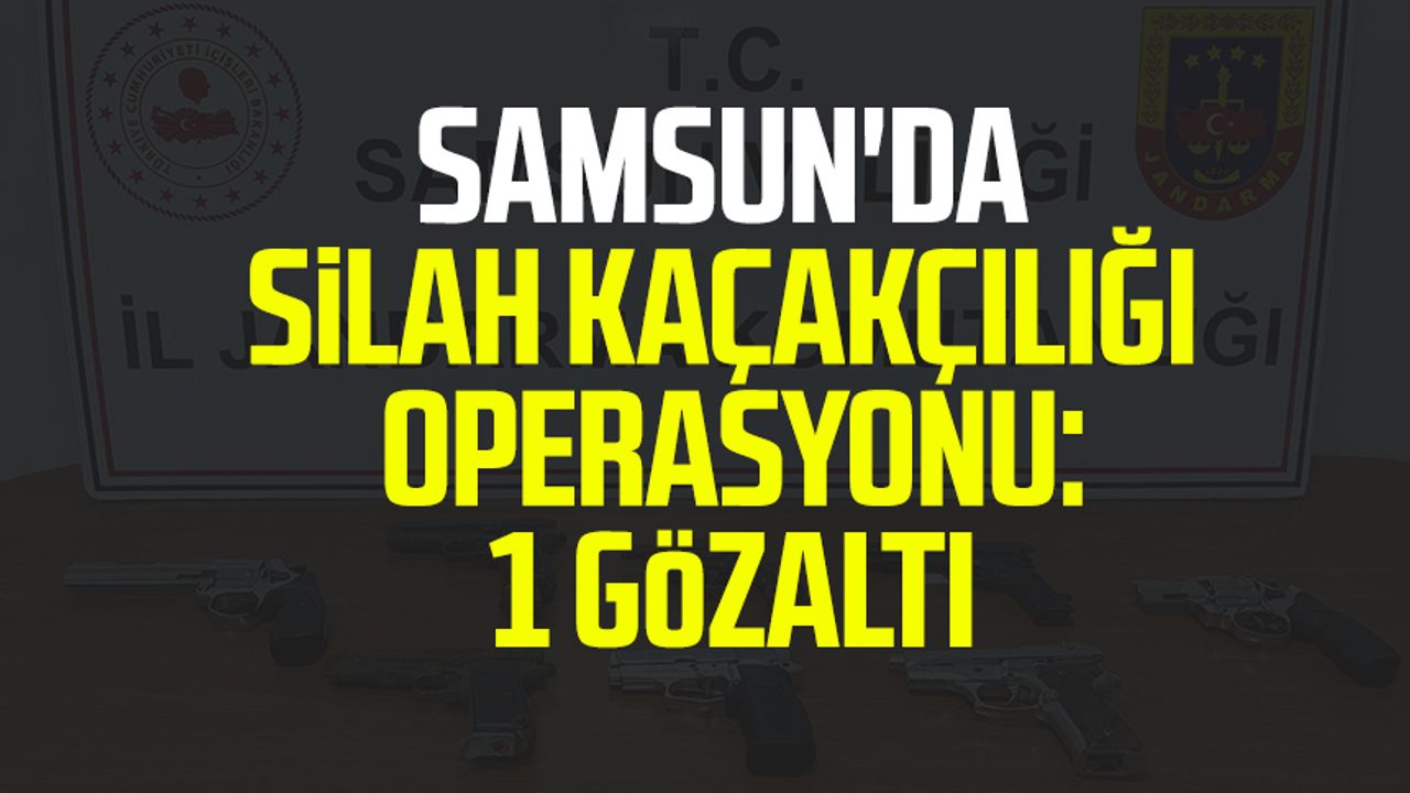 Samsun'da silah kaçakçılığı operasyonu: 1 gözaltı
