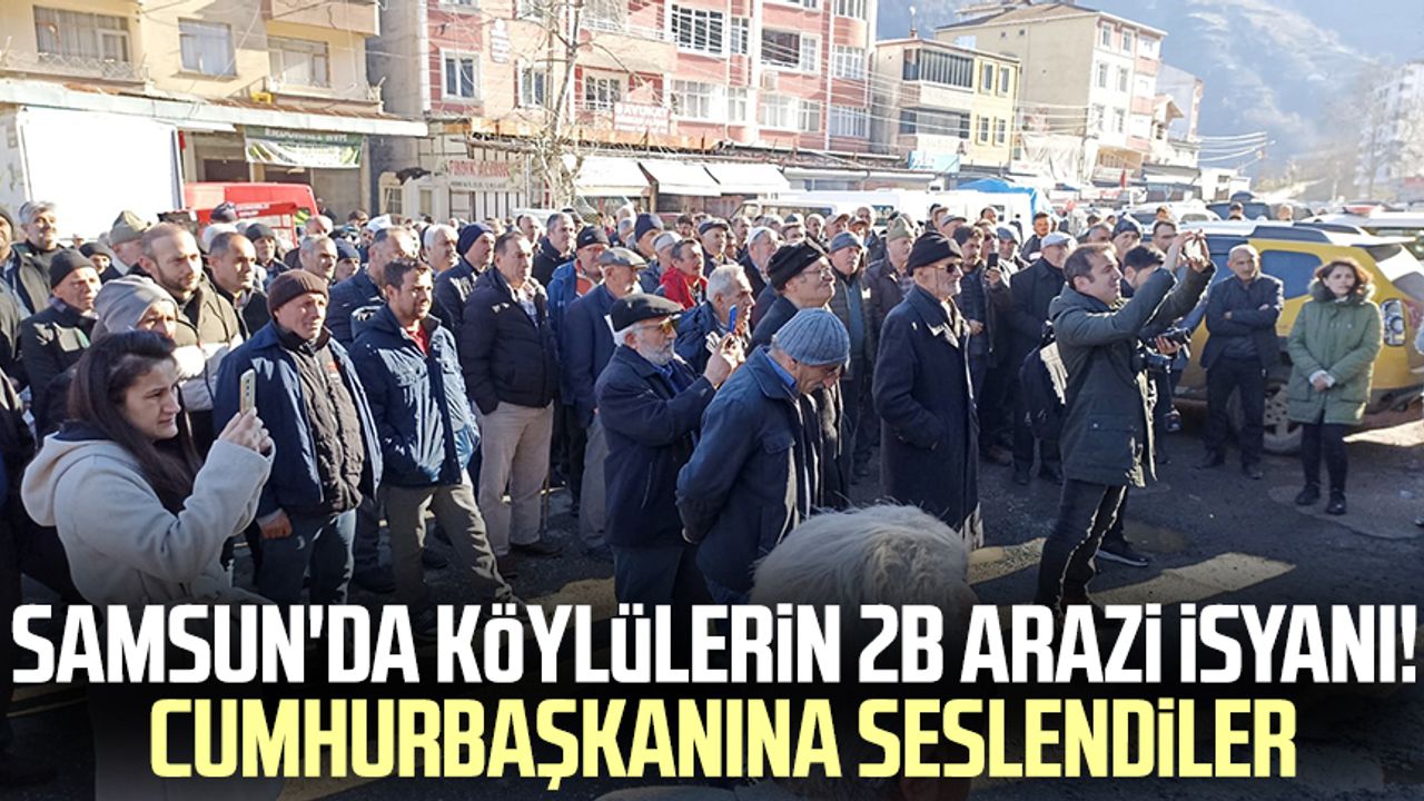 Samsun'da köylülerin 2B arazi isyanı! Cumhurbaşkanına seslendiler