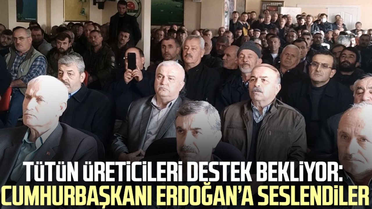 Samsun'da tütün üreticileri destek bekliyor: "25 mahallede problem var"