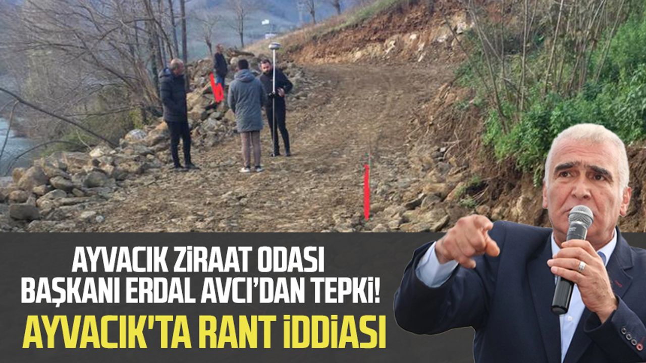 Ayvacık'ta rant iddiası! Ayvacık Ziraat Odası Başkanı Erdal Avcı'dan tepki