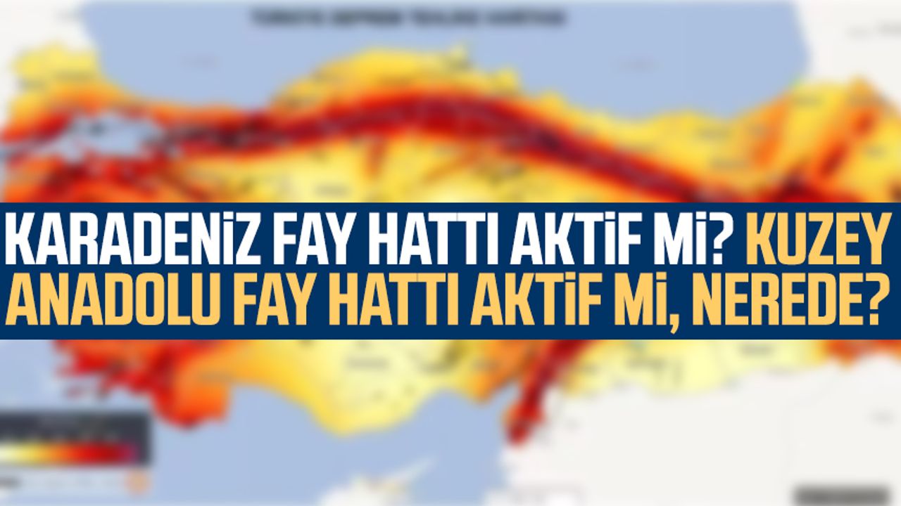 Karadeniz fay hattı aktif mi? Kuzey Anadolu Fay Hattı aktif mi, nerede?